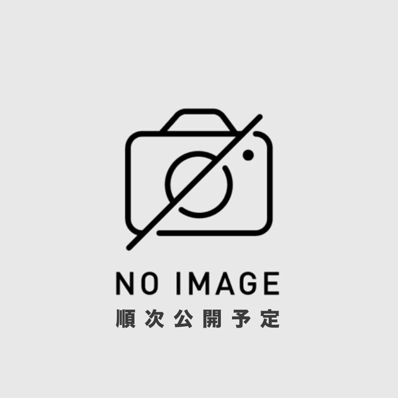 ハンディーカメラ <br>【返しモニター付き】